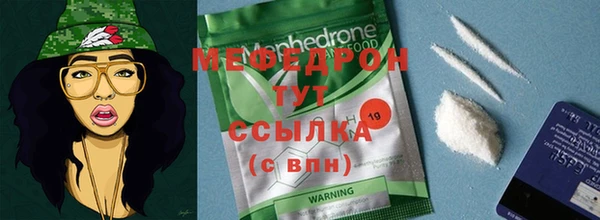 индика Бородино