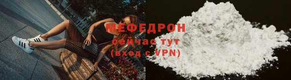 индика Бородино