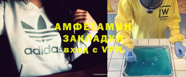 индика Бородино