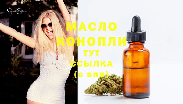 индика Бородино