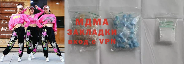 индика Бородино