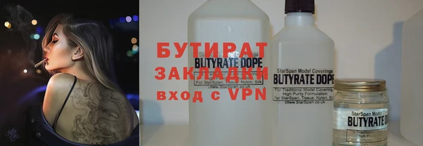 индика Бородино