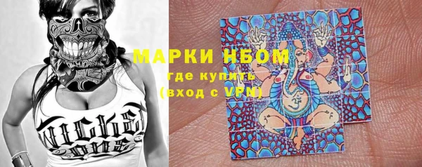 индика Бородино