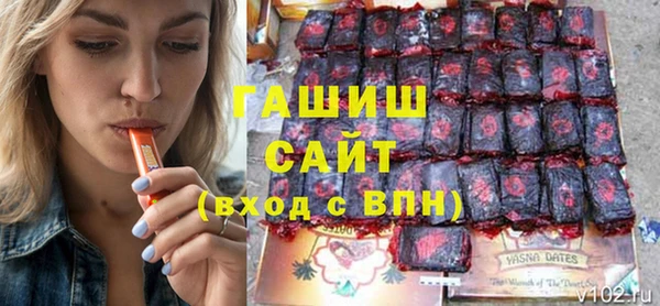 индика Бородино