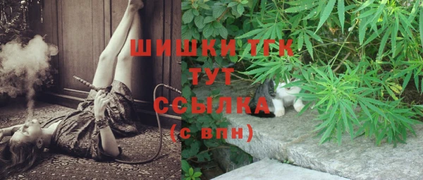 индика Бородино
