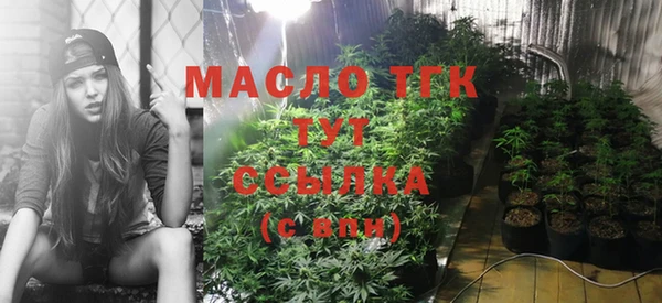 индика Бородино