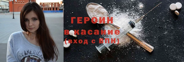 индика Бородино