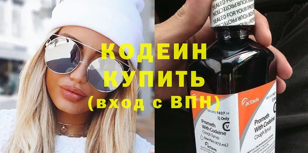 индика Бородино