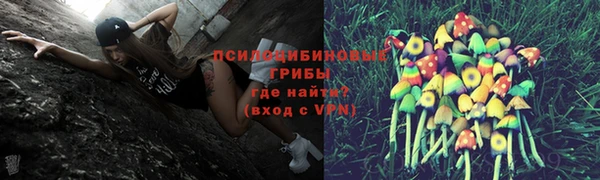 стаф Бронницы