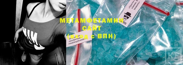 индика Бородино