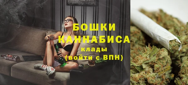 индика Бородино