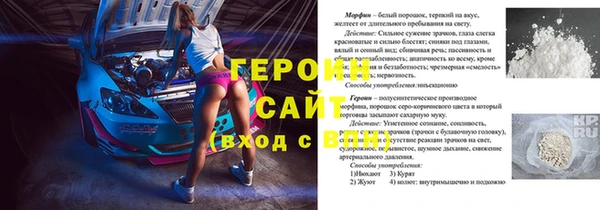 индика Бородино