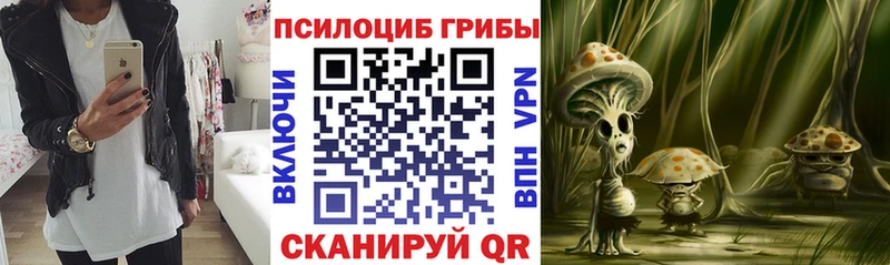 как найти закладки  Нолинск  Галлюциногенные грибы Psilocybe 