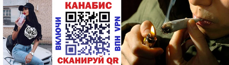 Конопля сатива  Нолинск 